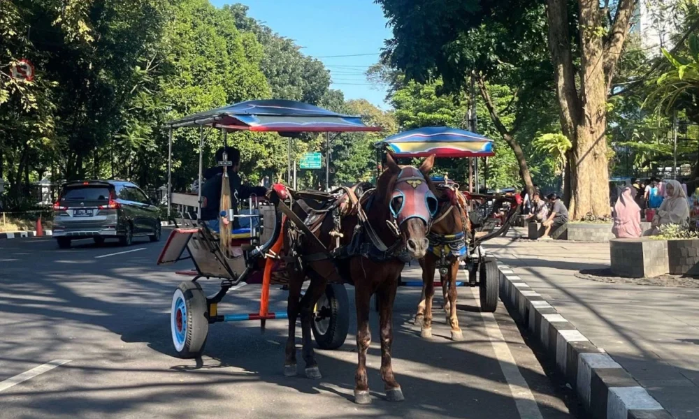 Viral! naik delman di bandung getok harga rp600 ribu