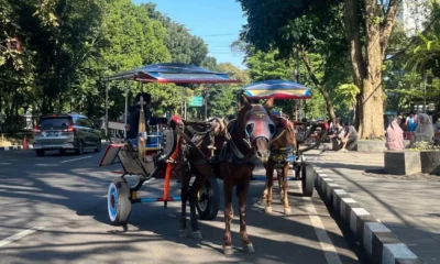 Viral! naik delman di bandung getok harga rp600 ribu