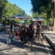 Viral! naik delman di bandung getok harga rp600 ribu