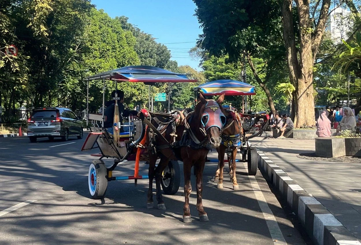 Viral! naik delman di bandung getok harga rp600 ribu