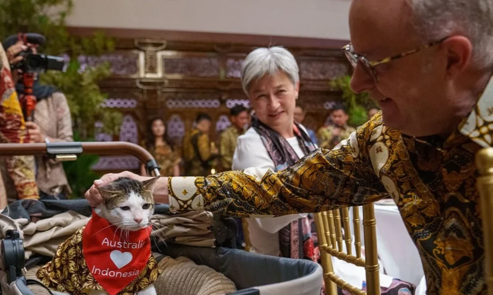 Albanese hadiahi kucing prabowo syal bertuliskan 'australia ❤️ indonesia'