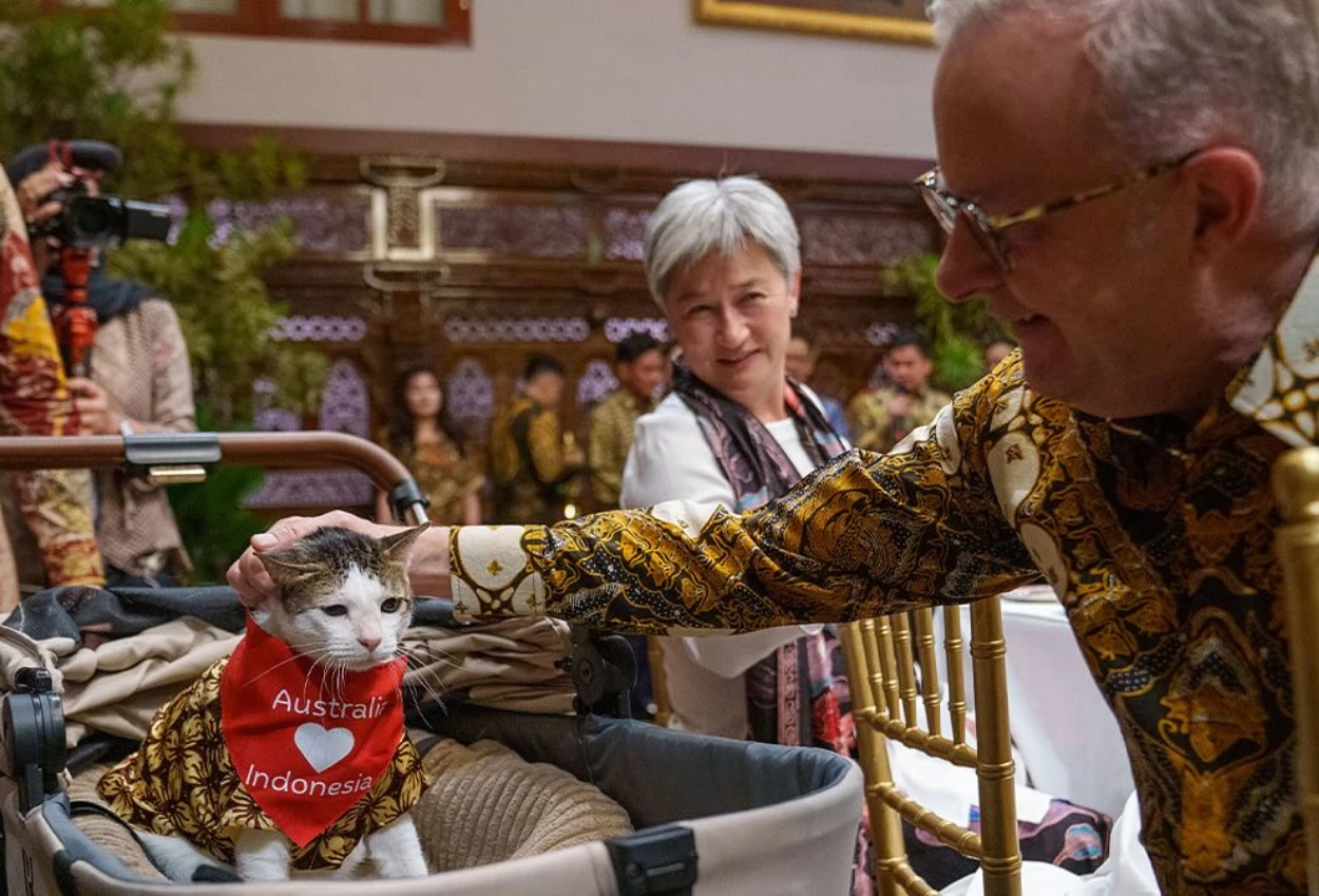 Albanese hadiahi kucing prabowo syal bertuliskan 'australia ❤️ indonesia'