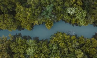 Apa dampak jangka pendek dan panjang dari penyempitan sungai
