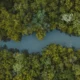 Apa dampak jangka pendek dan panjang dari penyempitan sungai