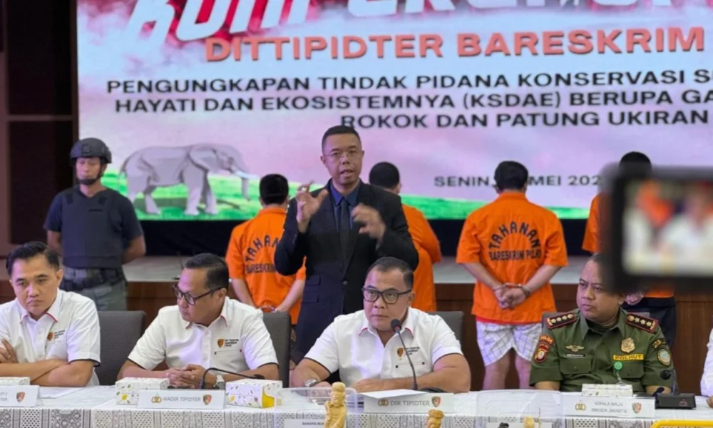 Bareskrim polri ungkap perdagangan gading gajah ilegal di sukabumi dan jakarta