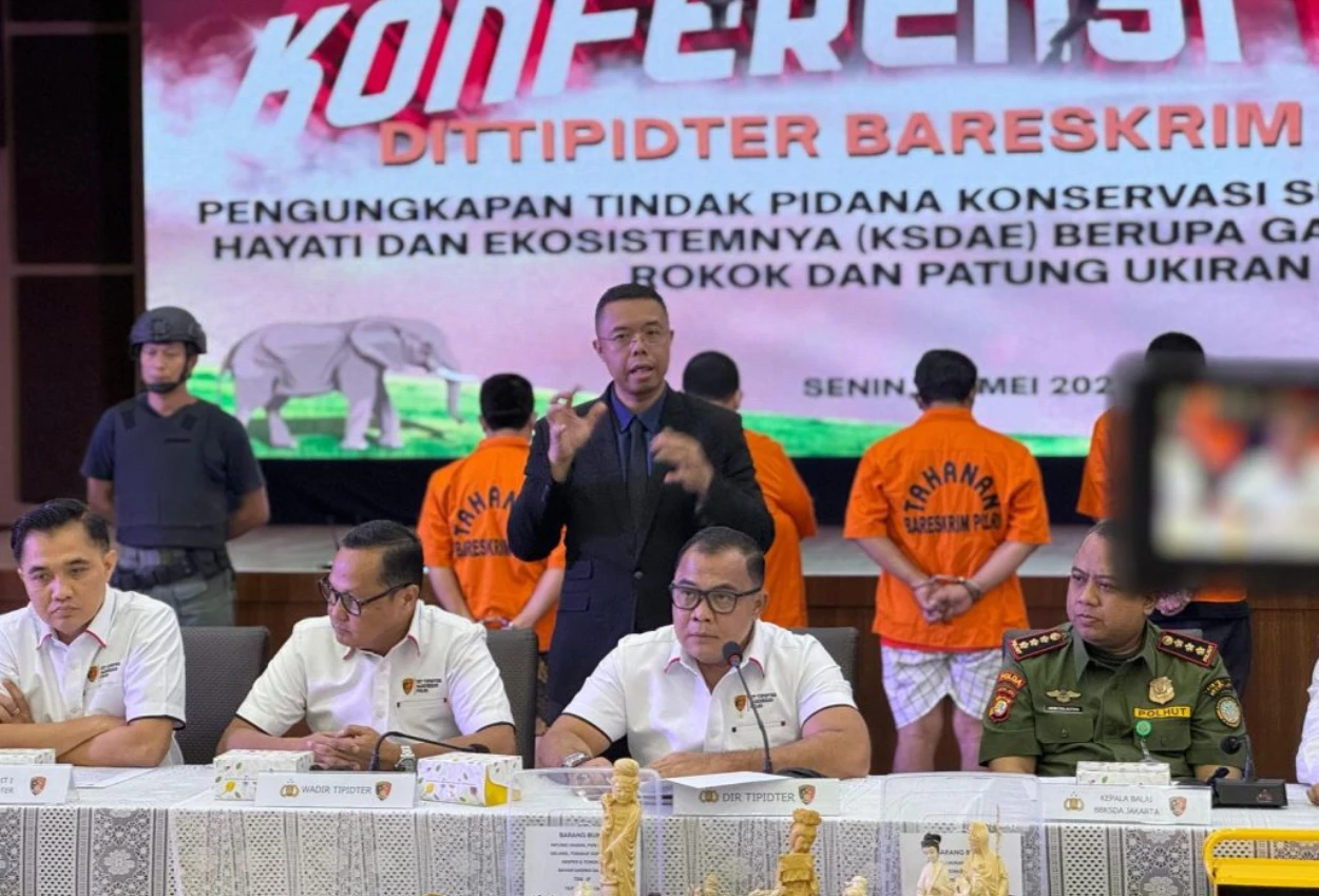 Bareskrim polri ungkap perdagangan gading gajah ilegal di sukabumi dan jakarta