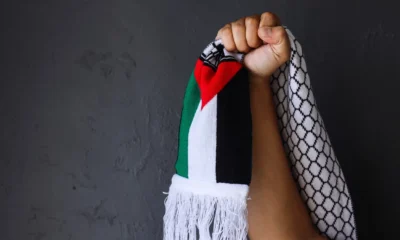 Dpr ajak 4 negara sahabat dukung palestina jelang konferensi puic