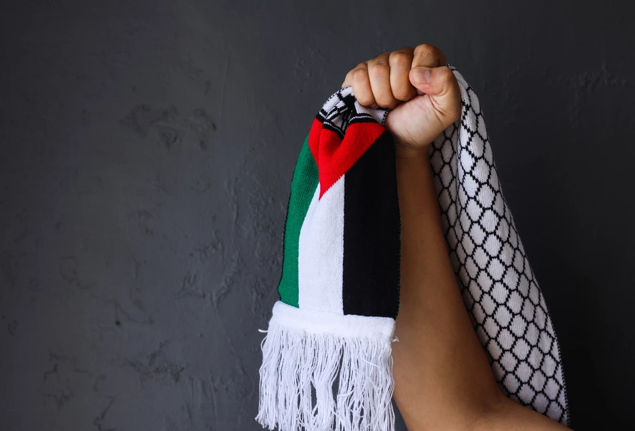 Dpr ajak 4 negara sahabat dukung palestina jelang konferensi puic