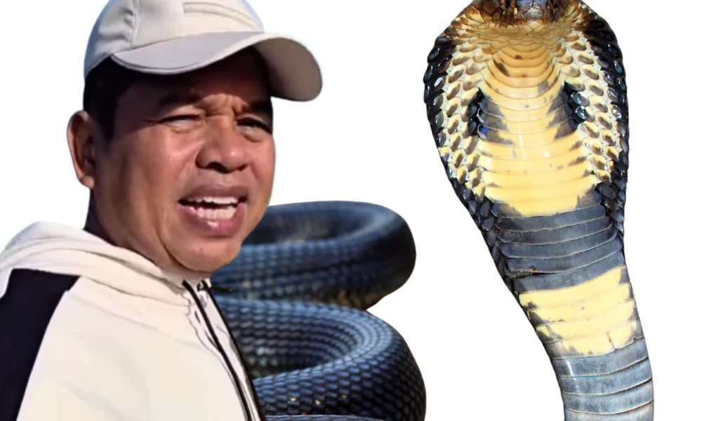 Dedi mulyadi ungkap rumahnya dapat kiriman king cobra dua kali