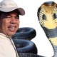 Dedi mulyadi ungkap rumahnya dapat kiriman king cobra dua kali