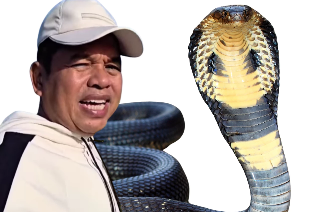 Dedi mulyadi ungkap rumahnya dapat kiriman king cobra dua kali
