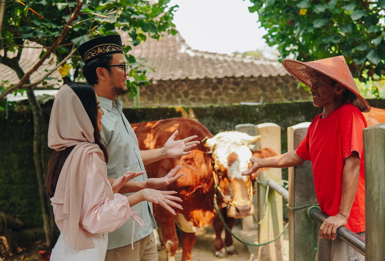 Jangan salah pilih! ini panduan dalam memilih hewan kurban