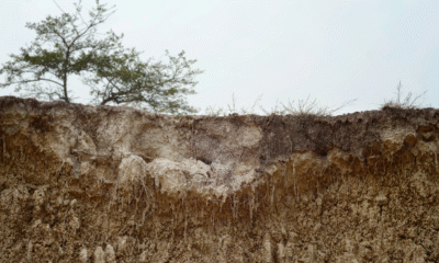 Mpnbagas(1250 x 849 px) mpn 2025 05 01t144628.031