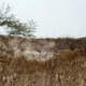 Mpnbagas(1250 x 849 px) mpn 2025 05 01t144628.031