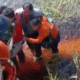 Mpnbagas(1250 x 849 px) mpn 2025 05 06t102050.238