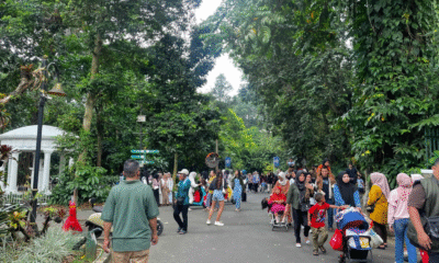 Mpnbagas(1250 x 849 px) mpn 2025 05 12t165807.607