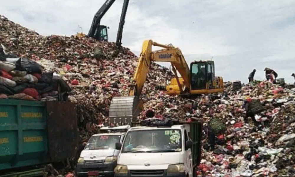 Mpnbagas(1250 x 849 px) mpn 2025 05 15t161206.773