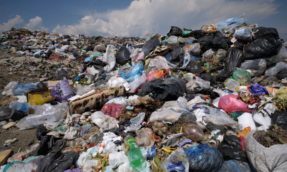 Mpnbagas(1250 x 849 px) mpn 2025 05 15t162625.997