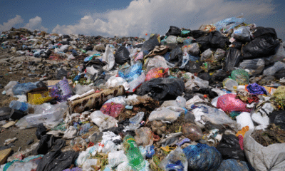 Mpnbagas(1250 x 849 px) mpn 2025 05 15t162625.997