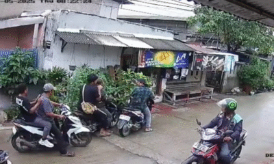 Mpnbagas(1250 x 849 px) mpn 2025 05 24t110203.348