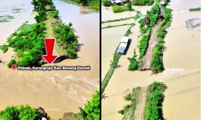 Tanggul sungai tuntang jebol di 4 titik, banjir terjang 10 desa di kabupaten demak