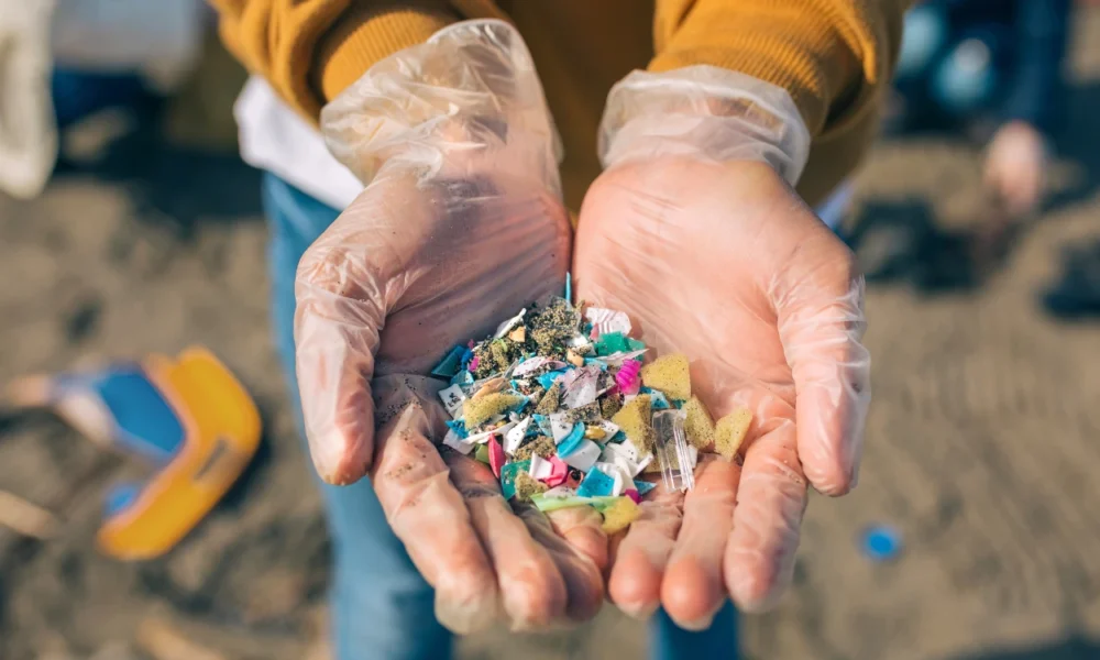 Walhi sebut pencemaran mikroplastik ancaman serius bagi laut indonesia dan krisis iklim global