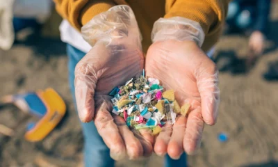 Walhi sebut pencemaran mikroplastik ancaman serius bagi laut indonesia dan krisis iklim global