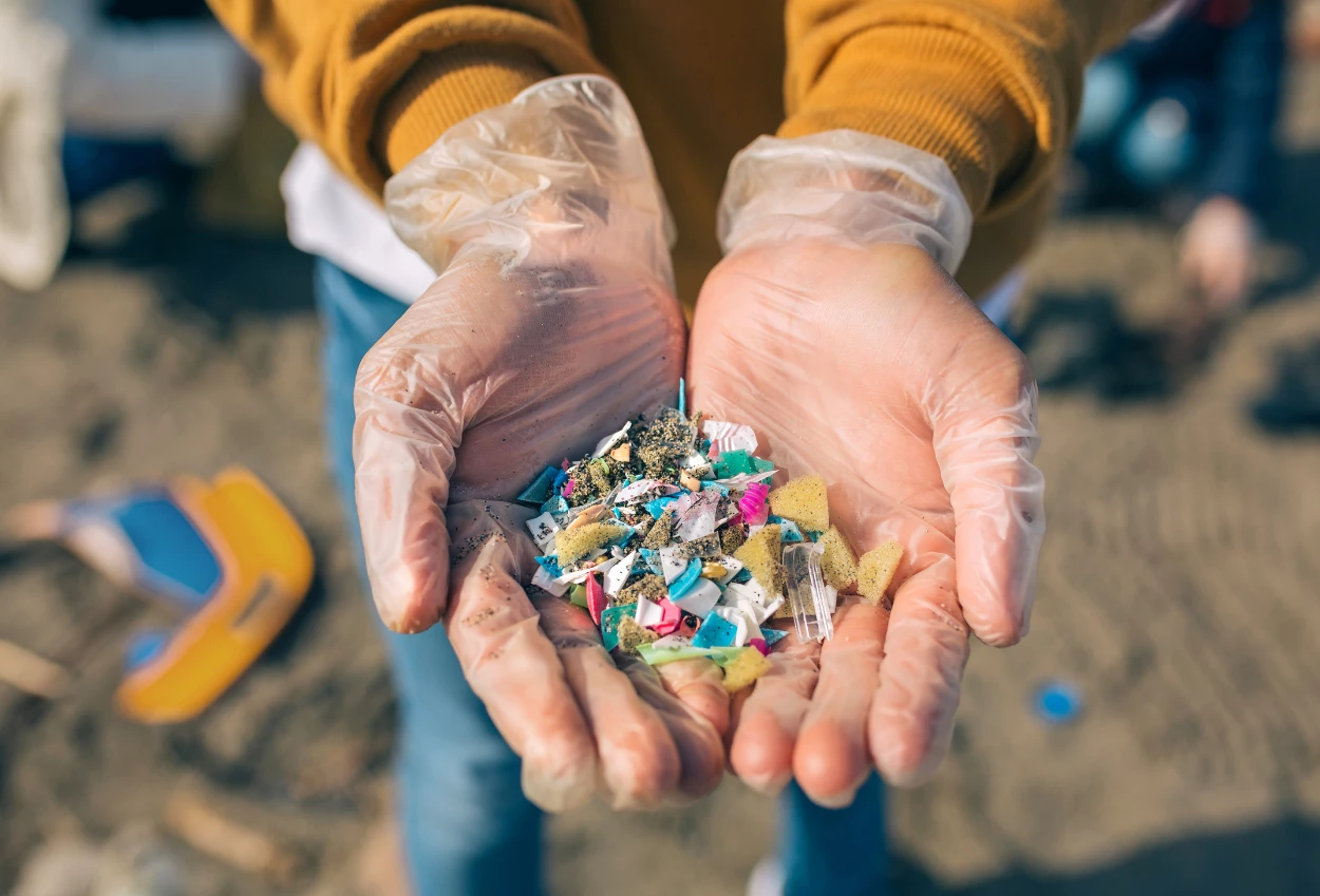 Walhi sebut pencemaran mikroplastik ancaman serius bagi laut indonesia dan krisis iklim global