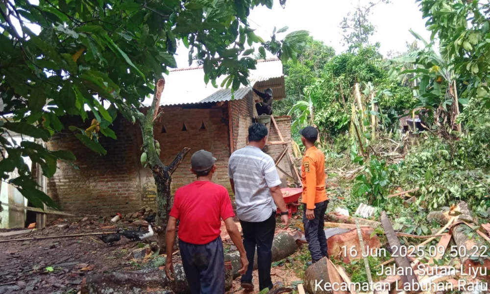 Indonesia diterjang 20 bencana dalam 24 jam terakhir, bnpb imbau waspada cuaca ekstrem
