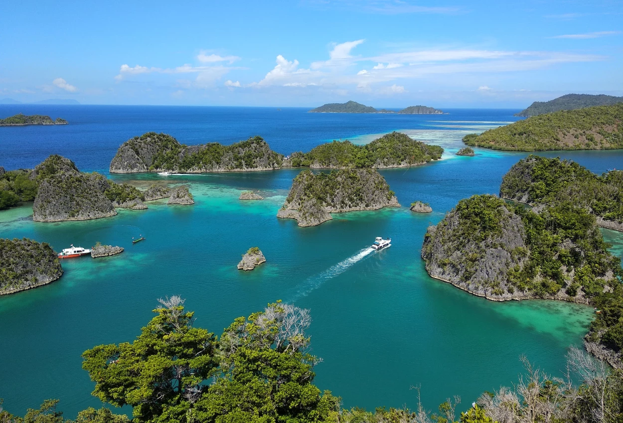 Klh bplh siap bertindak, cegah kerusakan raja ampat akibat tambang nikel