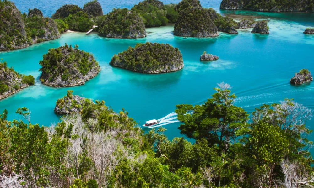 Klh ungkap temuan kerusakan lingkungan akibat tambang nikel di raja ampat