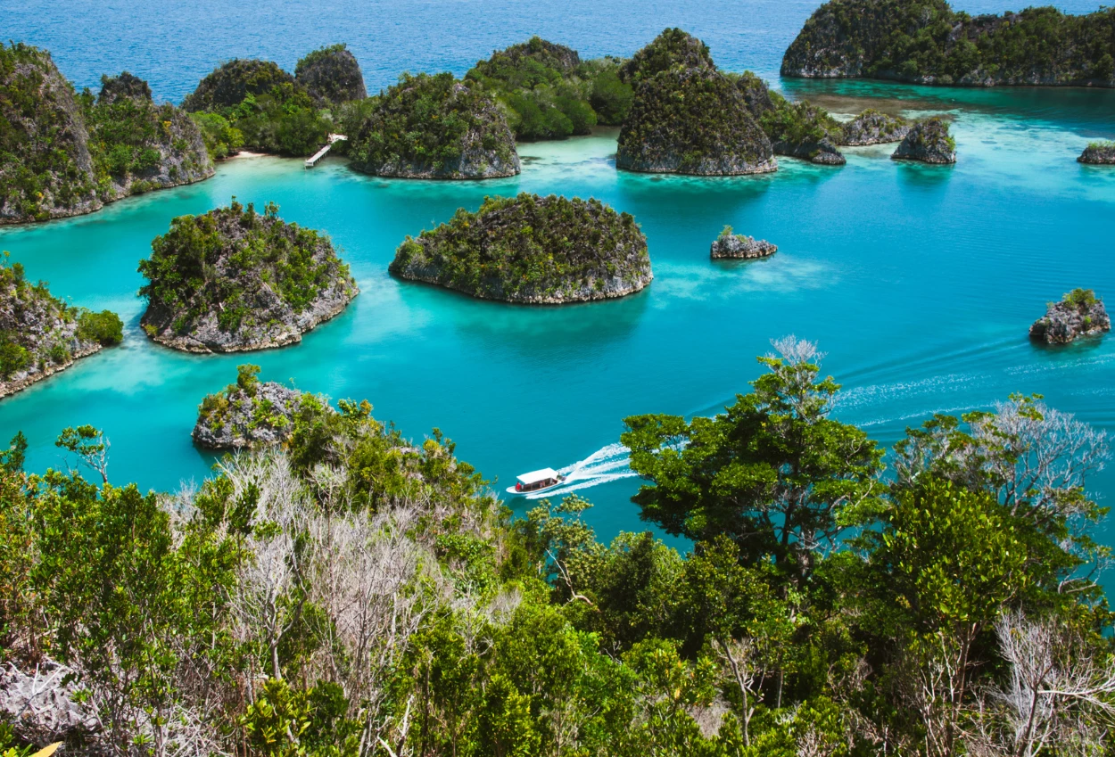 Klh ungkap temuan kerusakan lingkungan akibat tambang nikel di raja ampat