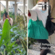 Mpnbagas(1250 x 849 px) mpn 2025 06 05t114117.403