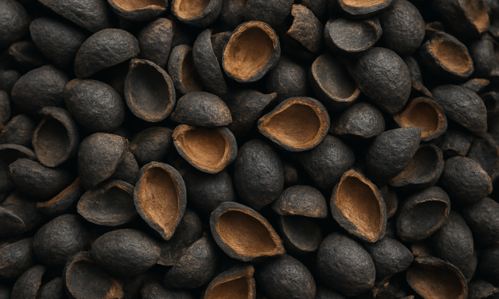 Mpnbagas(1250 x 849 px) mpn 2025 06 17t103817.420