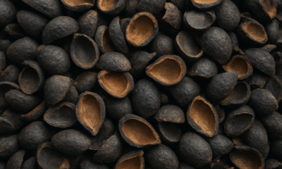 Mpnbagas(1250 x 849 px) mpn 2025 06 17t103817.420