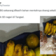 Mpnbagas(1250 x 849 px) mpn 2025 06 19t144201.063