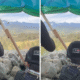 Mpnbagas(1250 x 849 px) mpn 2025 06 19t151902.733