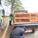 Mpnbagas(1250 x 849 px) mpn 2025 06 20t163004.787