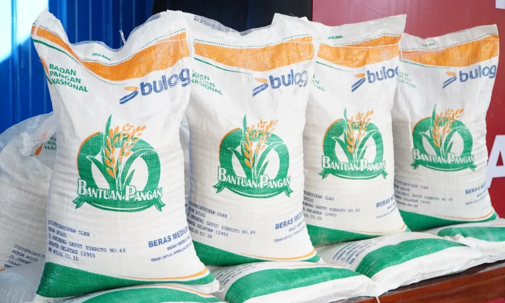 Pemerintah salurkan bantuan beras untuk 18,3 juta warga, tiap penerima dapat 10 kg selama dua bulan