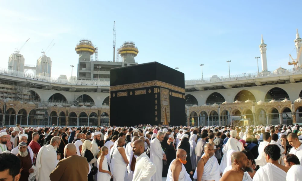 Program murur dan safari wukuf lansia khusus gratis untuk jemaah haji
