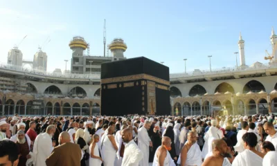 Program murur dan safari wukuf lansia khusus gratis untuk jemaah haji