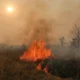 Antisipasi puncak kemarau, bmkg potensi kebakaran lahan di riau sangat tinggi