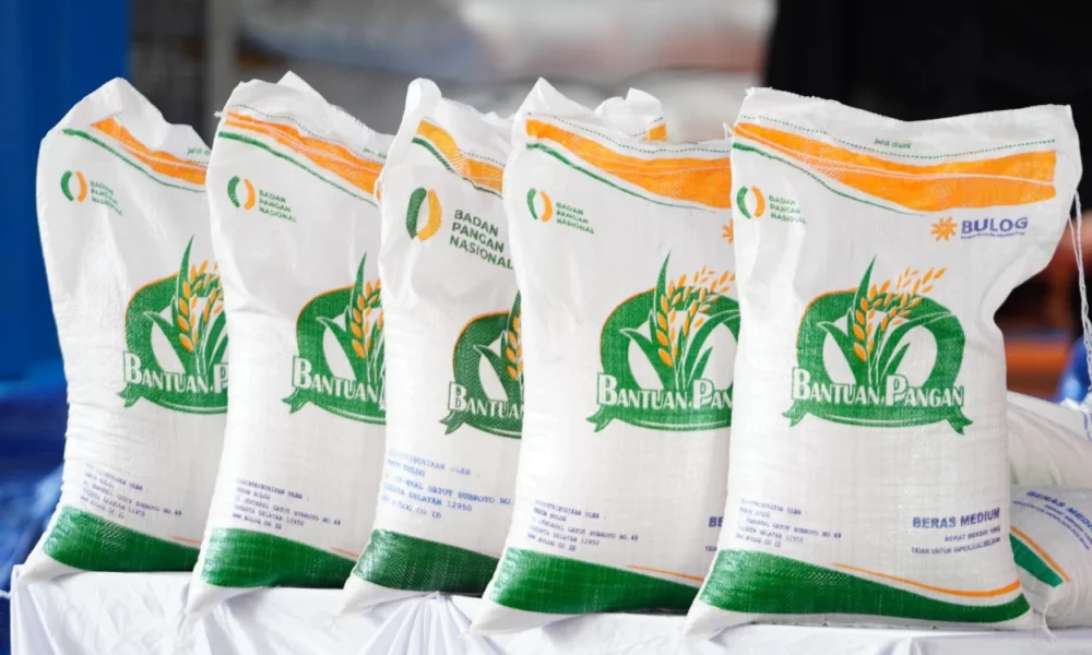 Badan pangan nasional tunjuk bulog untuk salurkan bantuan beras