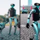 Harga robot anjing canggih polri tembus rp3 miliar per unit