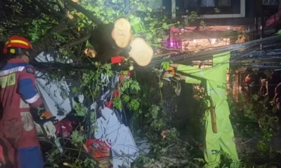 Hujan deras, pohon tumbang di tebet timpa warung dan 2 motor warga