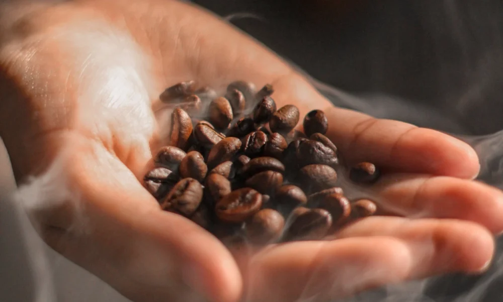 Indonesia catat potensi kerja sama rp5,8 m di clitf 2025 tiongkok, kopi panggang jadi unggulan!