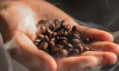 Indonesia catat potensi kerja sama rp5,8 m di clitf 2025 tiongkok, kopi panggang jadi unggulan!