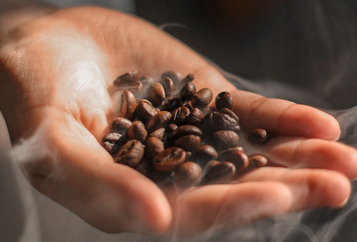 Indonesia catat potensi kerja sama rp5,8 m di clitf 2025 tiongkok, kopi panggang jadi unggulan!