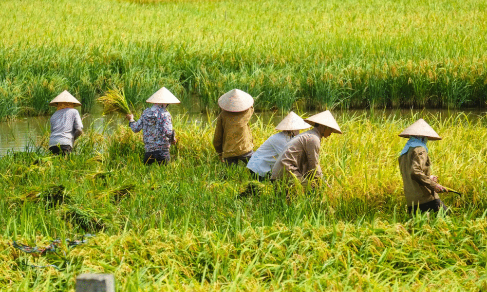 Komisi vi dpr janji lindungi sektor pertanian ri dari gempuran produk impor as