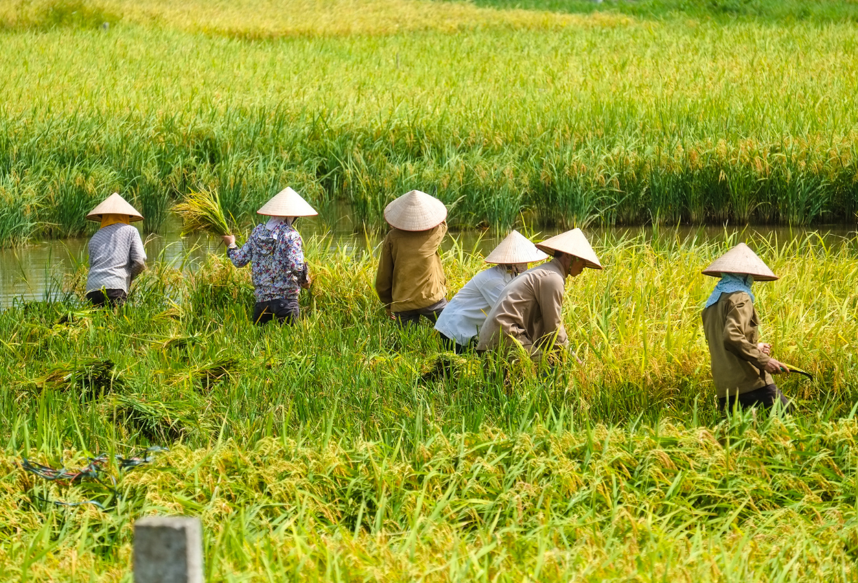 Komisi vi dpr janji lindungi sektor pertanian ri dari gempuran produk impor as